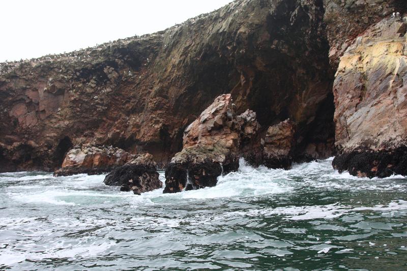 1149-Isole Ballestas,19 luglio 2013.JPG